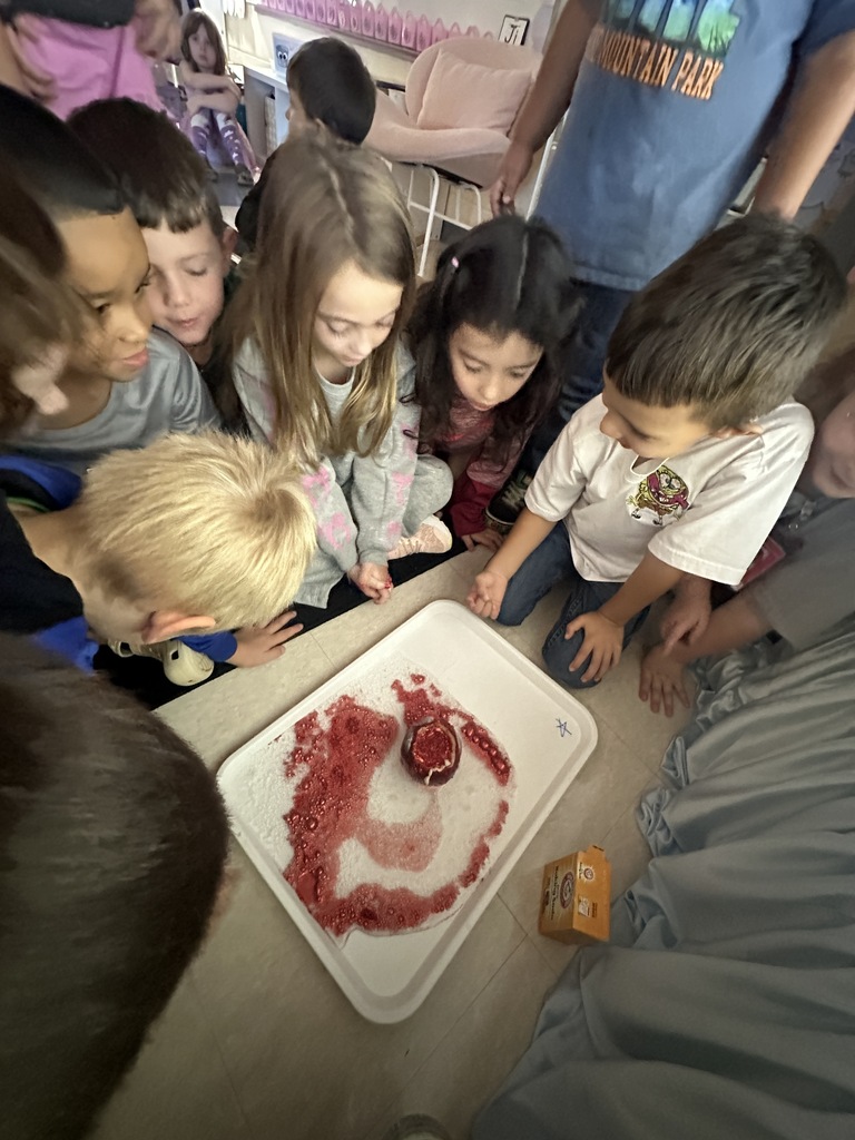 Kindergarten