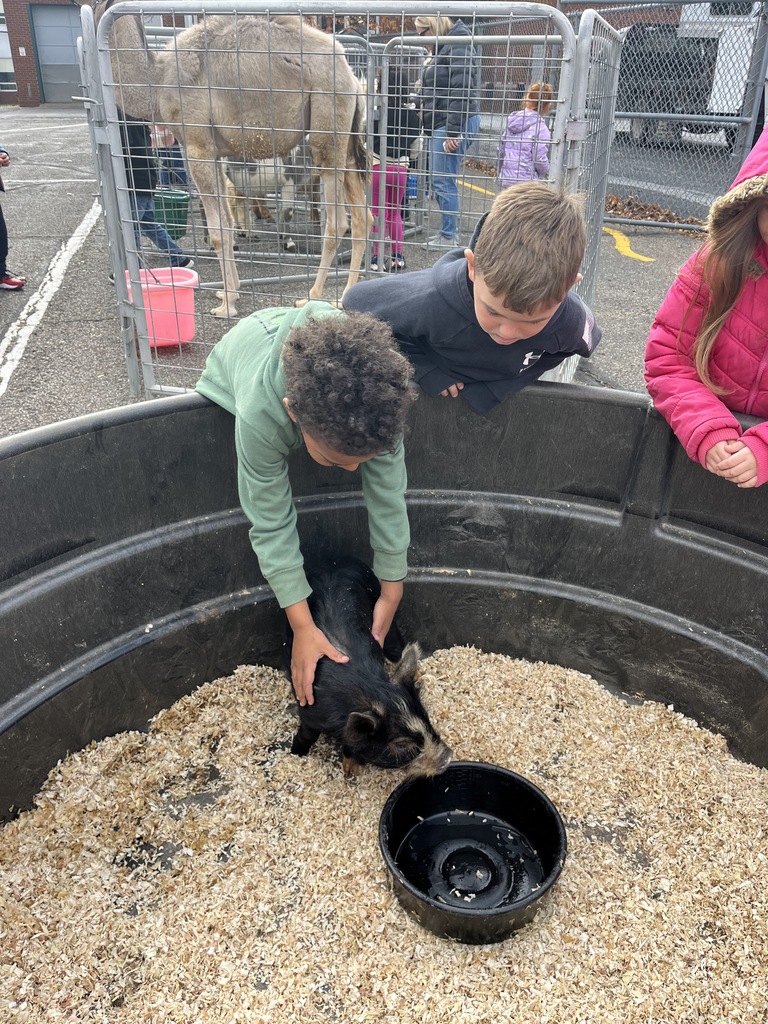 Petting Zoo