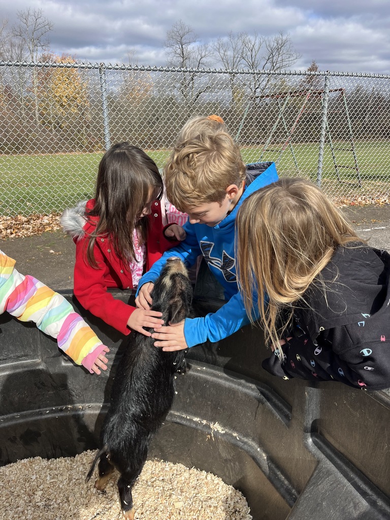 Petting Zoo