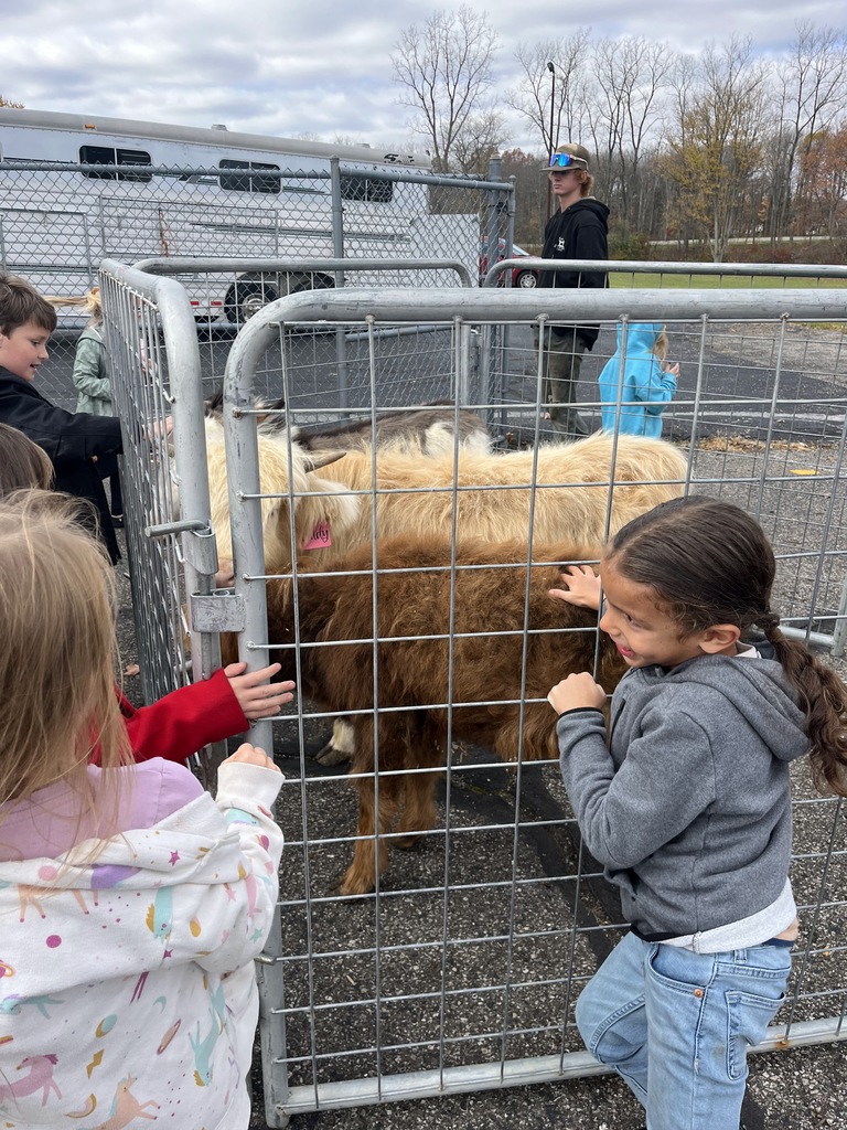 Petting Zoo