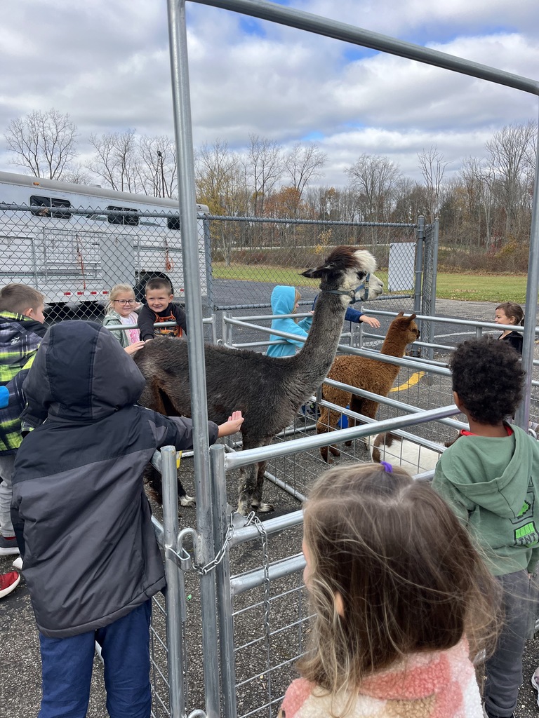 Petting Zoo
