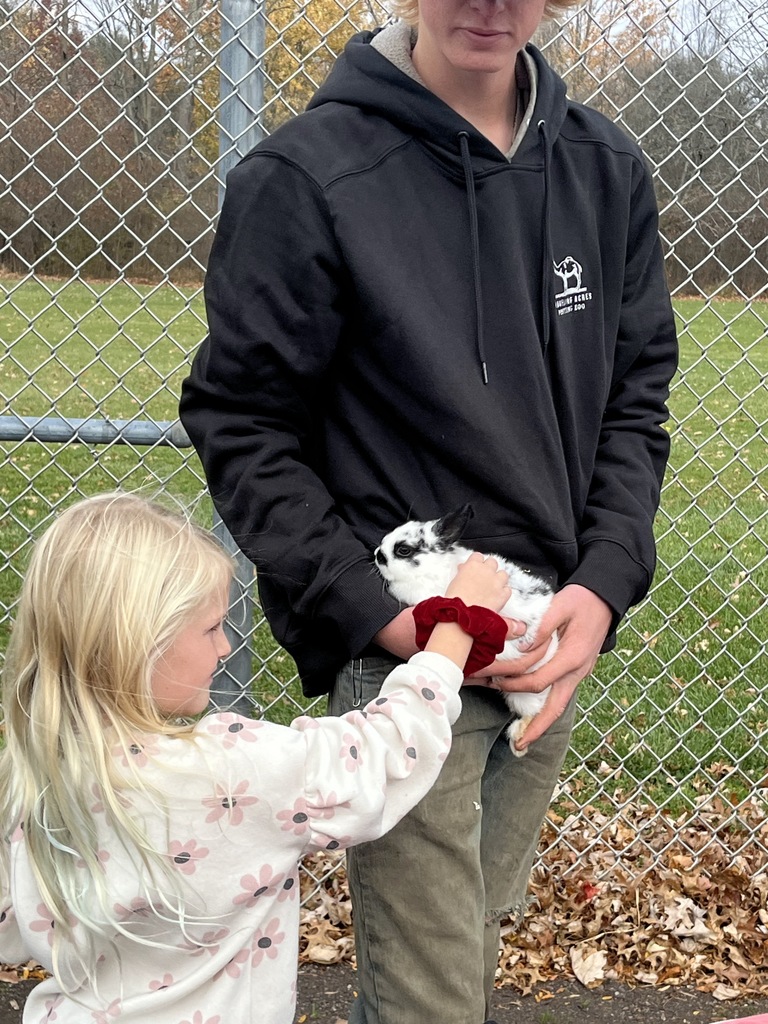 Petting Zoo