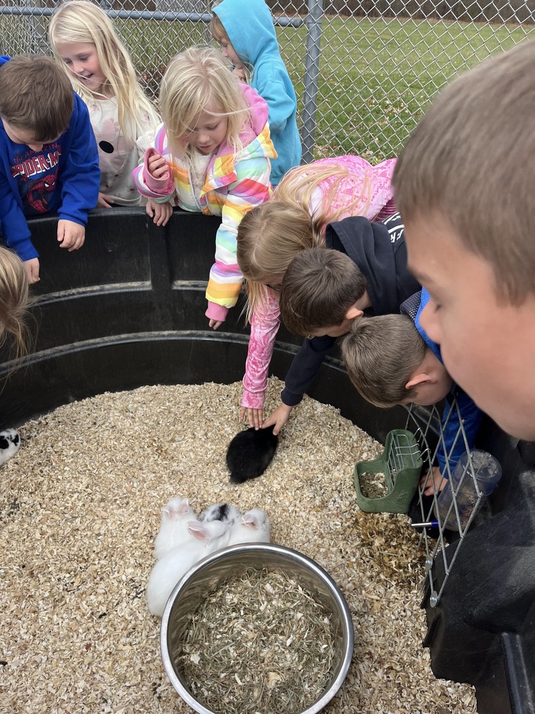 Petting Zoo