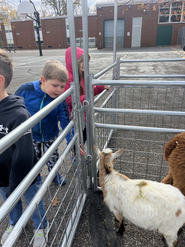 Petting Zoo