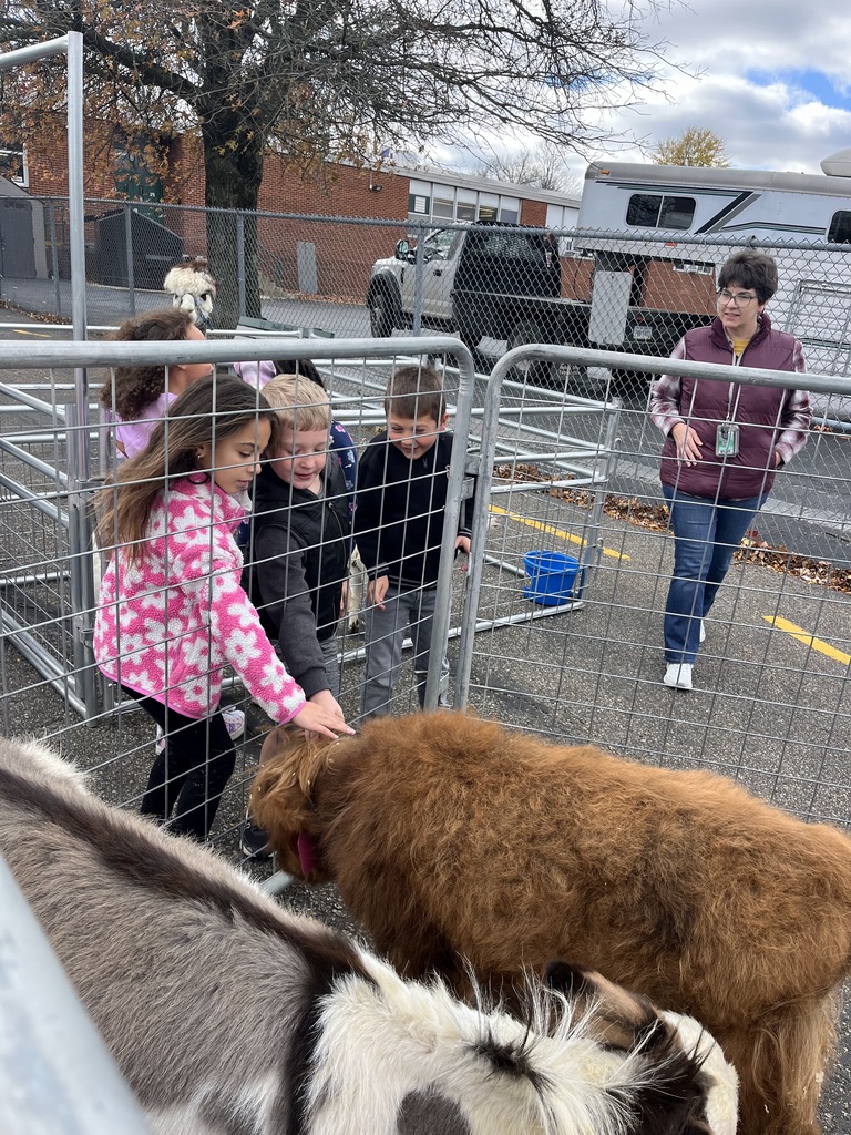 Petting Zoo