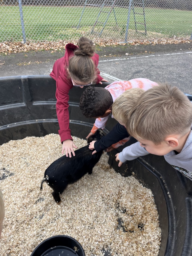 Petting Zoo