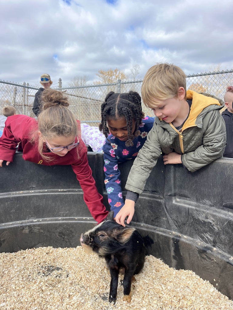 Petting Zoo