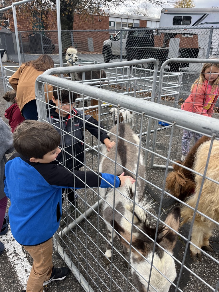 Petting Zoo