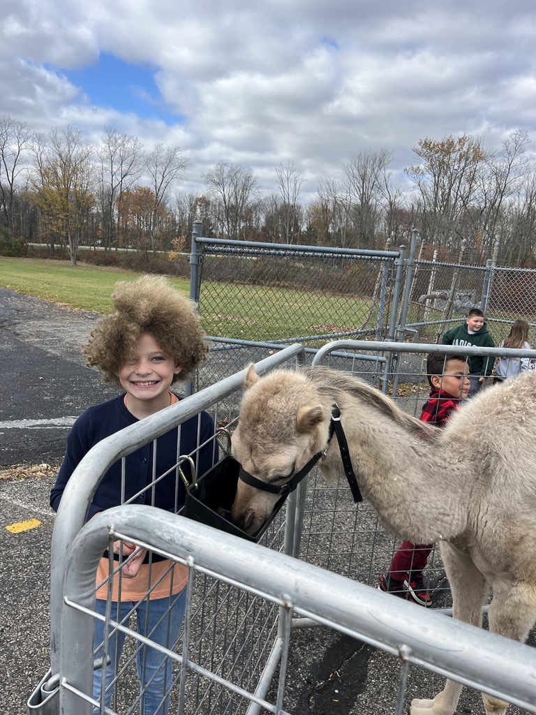 Petting Zoo