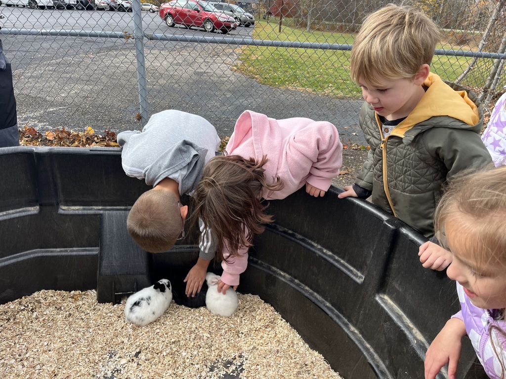 Petting Zoo