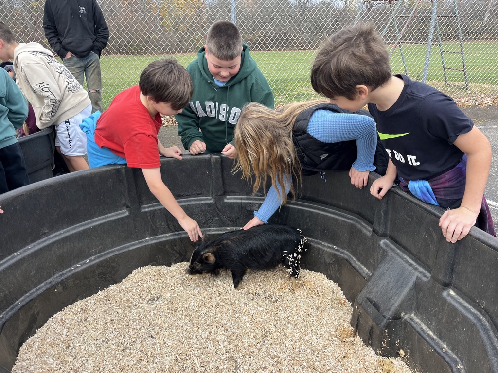 Petting Zoo