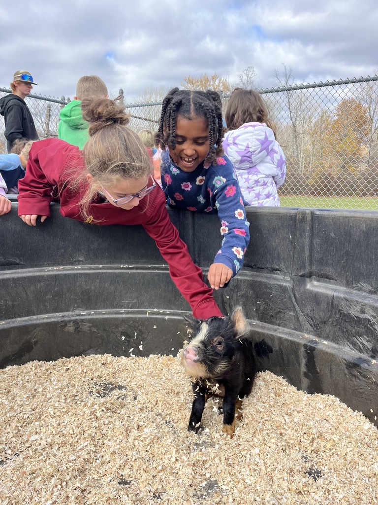 Petting Zoo