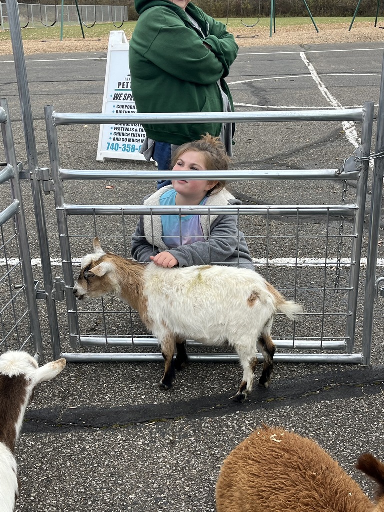 Petting Zoo