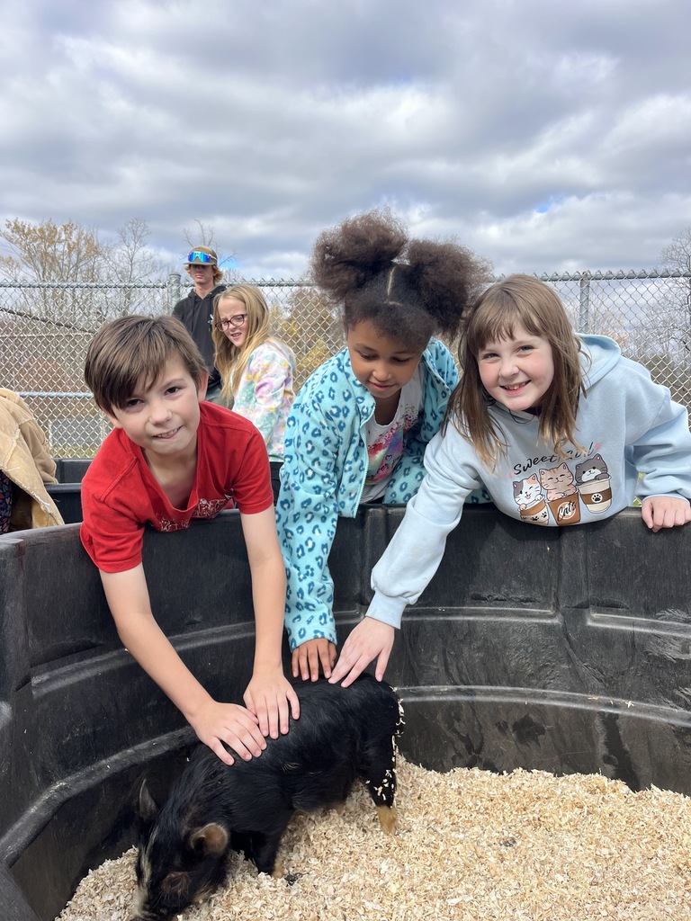 Petting Zoo