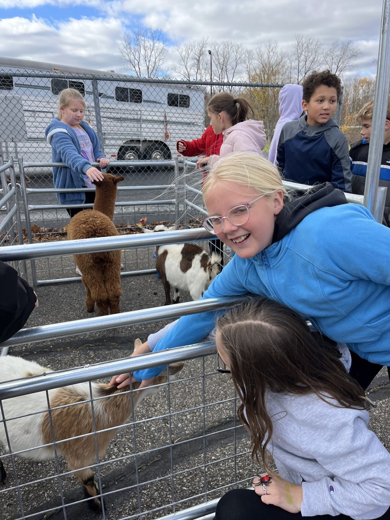 Petting Zoo