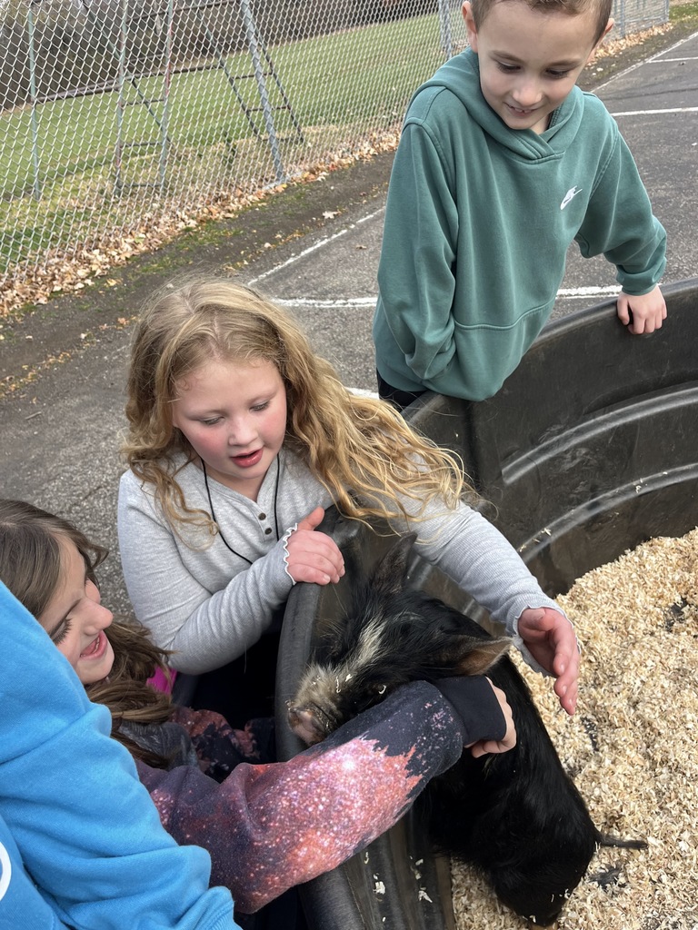 Petting Zoo