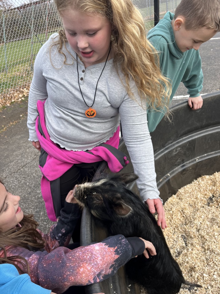 Petting Zoo
