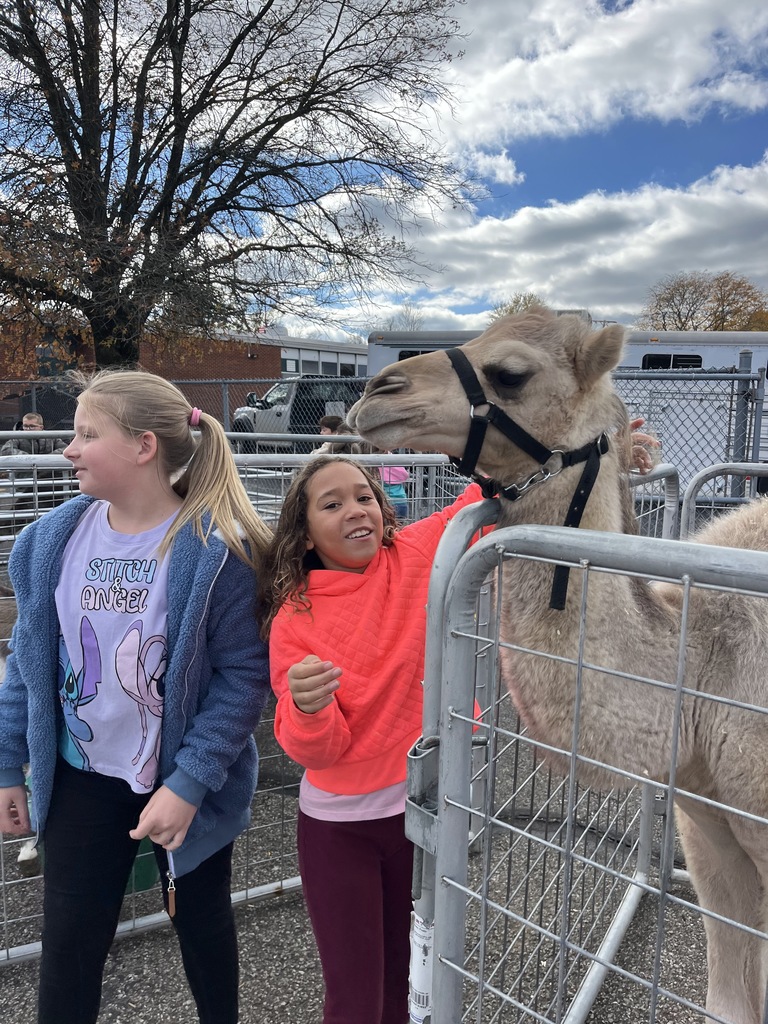 Petting Zoo