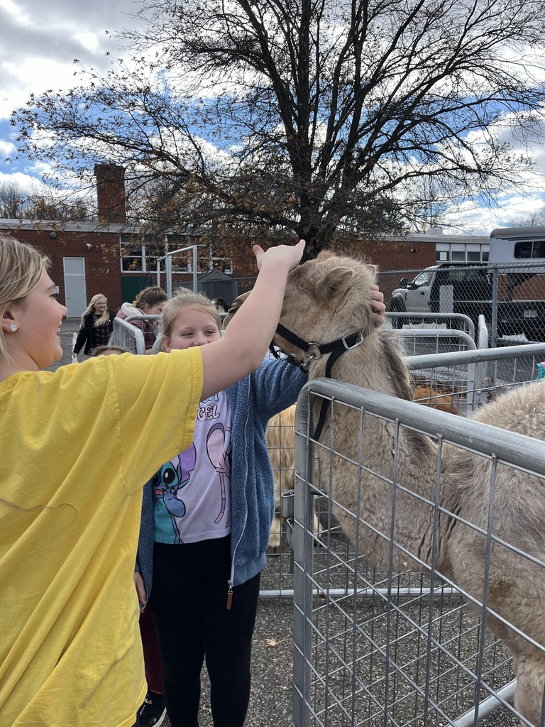 Petting Zoo