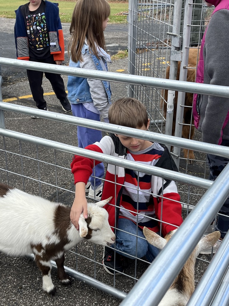 Petting Zoo