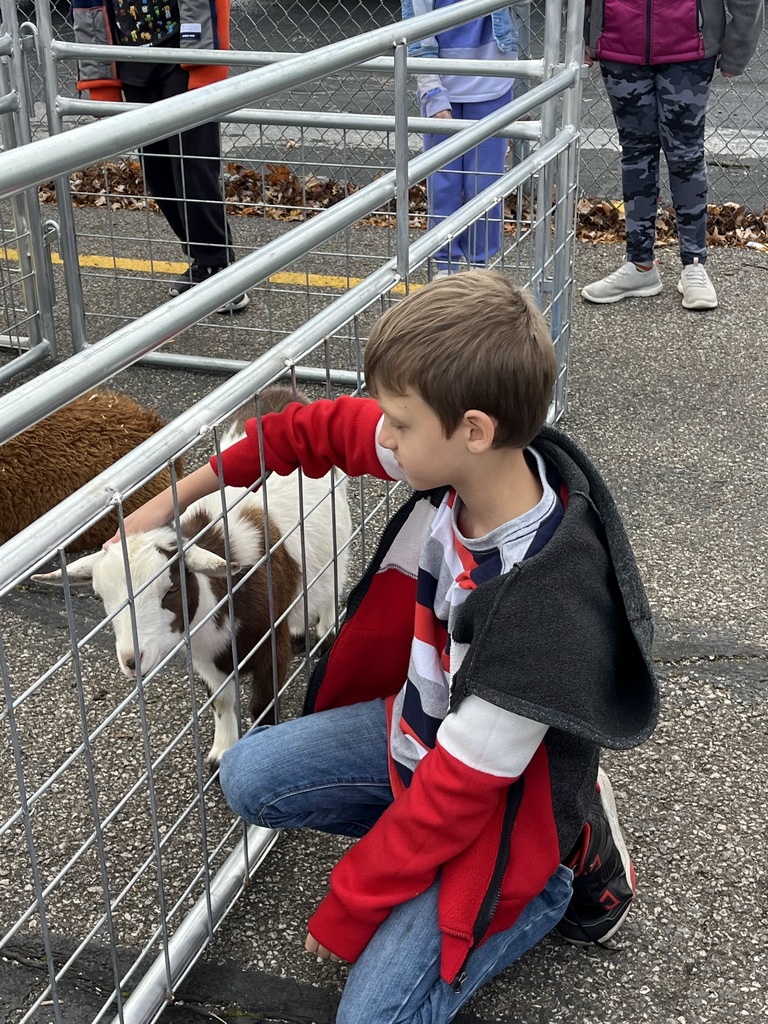 Petting Zoo