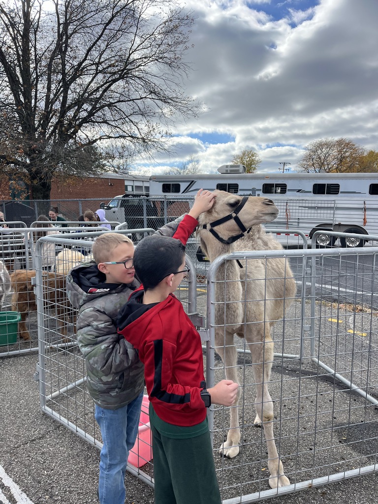 Petting Zoo
