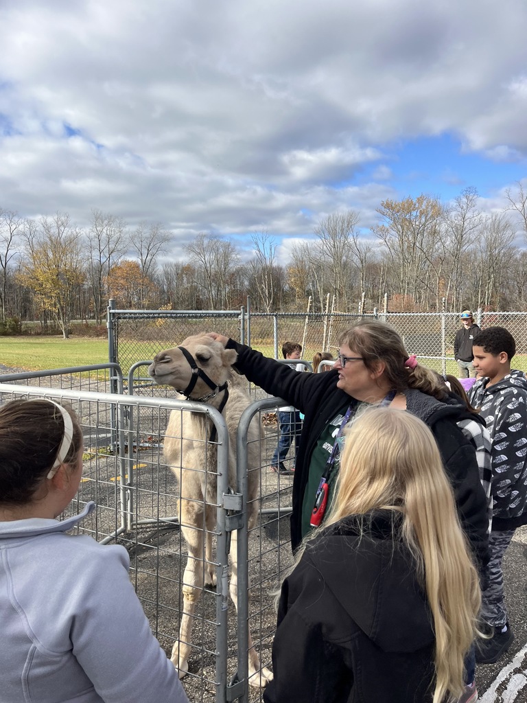 Petting Zoo