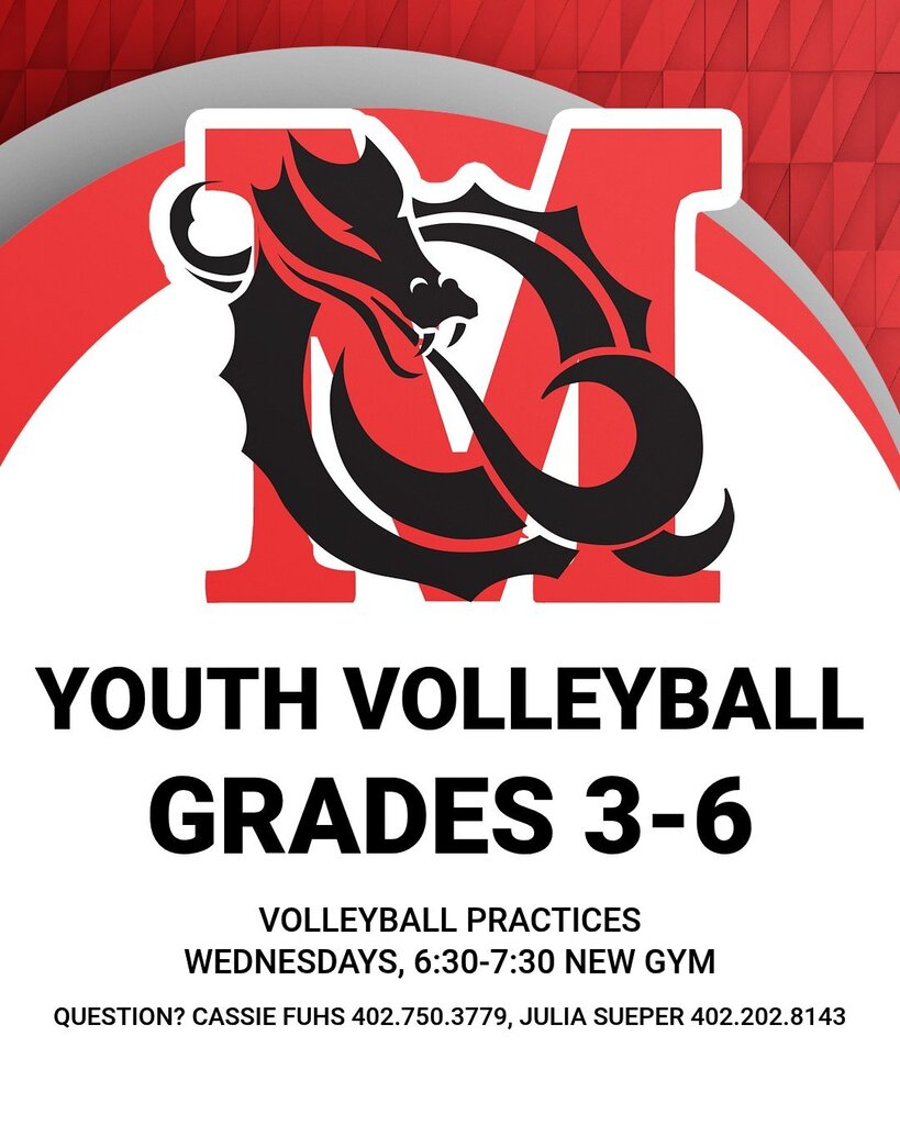Youth Volleyball 