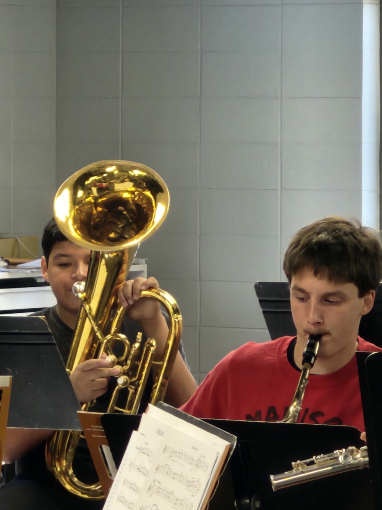 sax bari