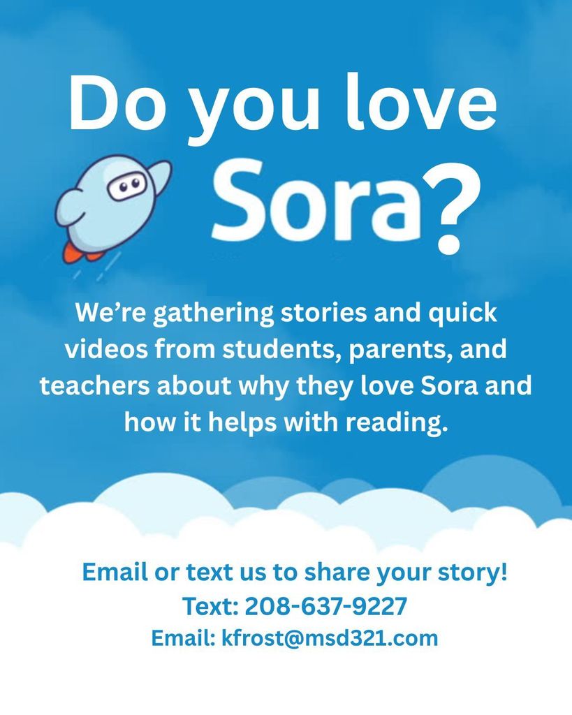 Do You Love Sora?