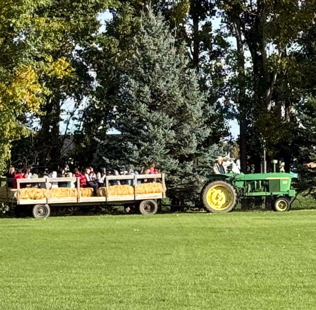 Tractor Pulling a Trailer With Kids