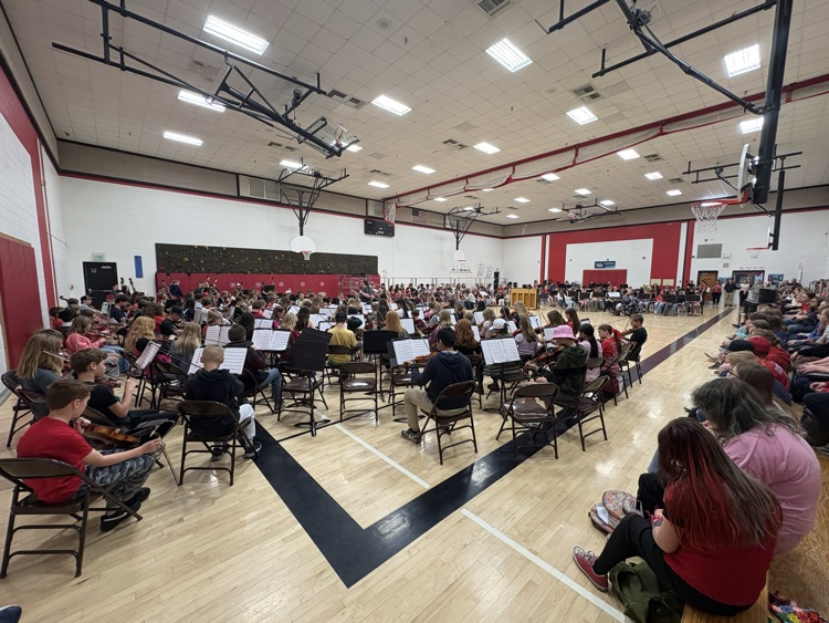 Fine Arts Showcase