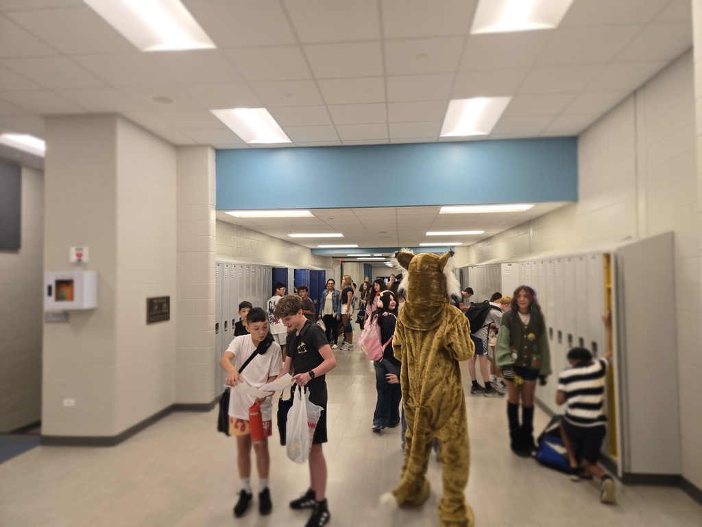 wildcat in the hallway