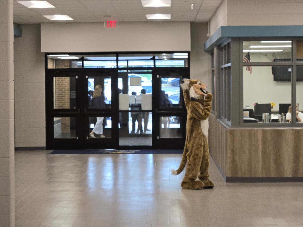 wildcat in the hallway