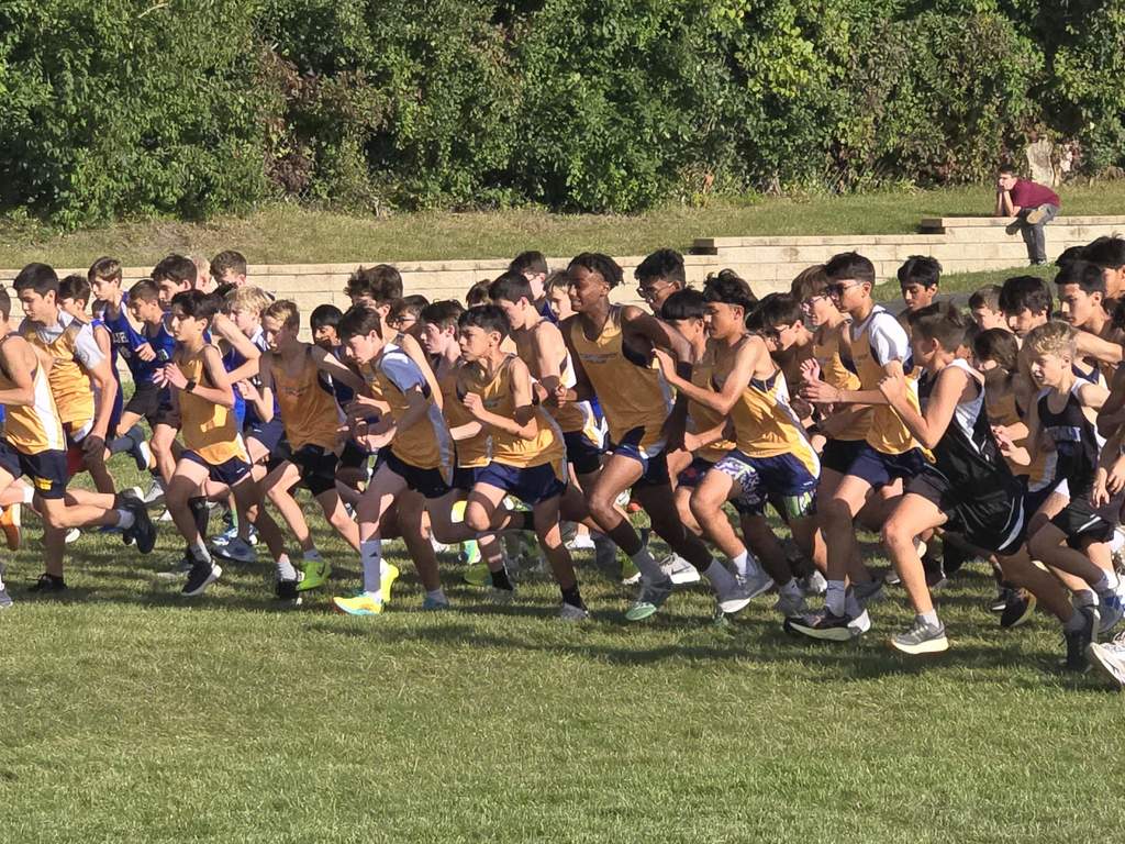 Cross country runners