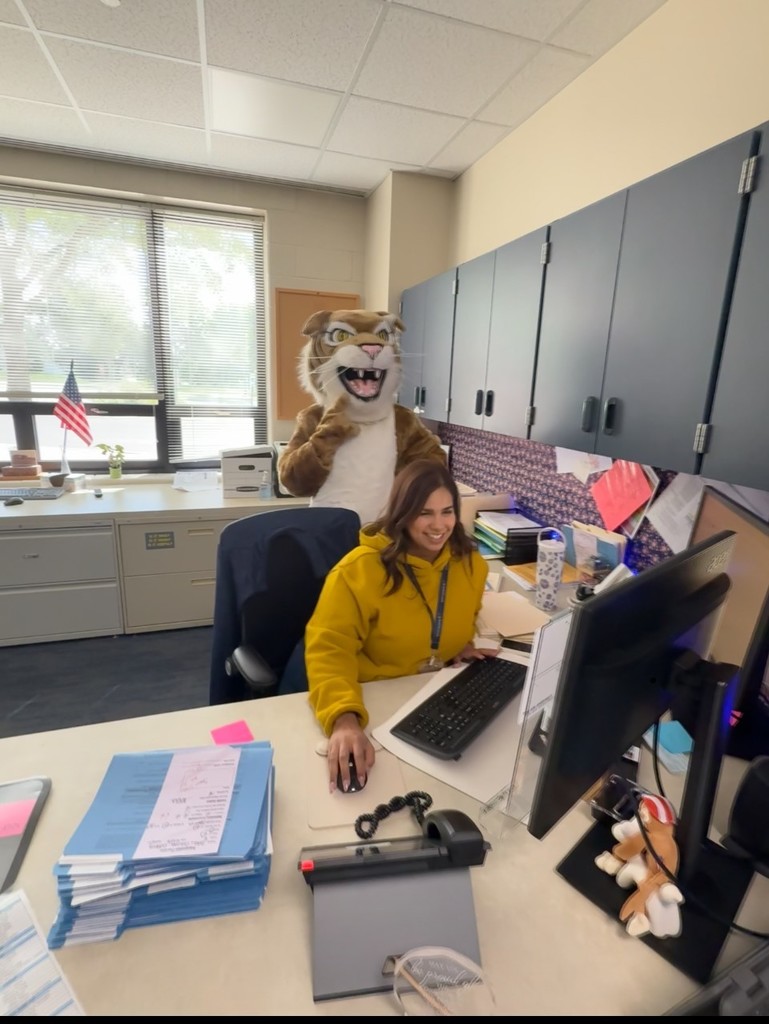 Wildcat in the office