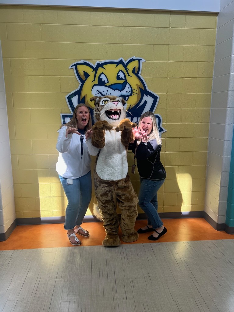 Teachers with wildcat