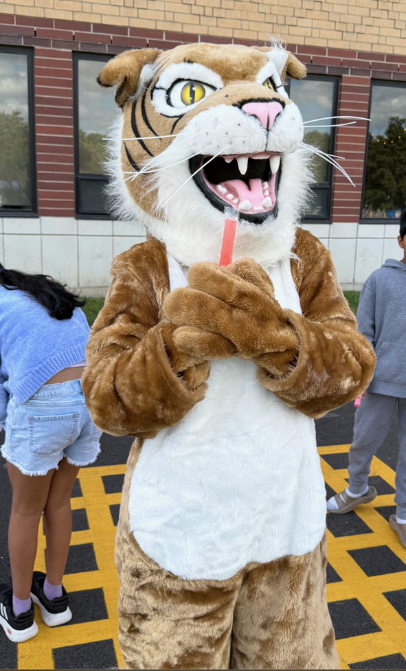 Wildcat eating a popsicle