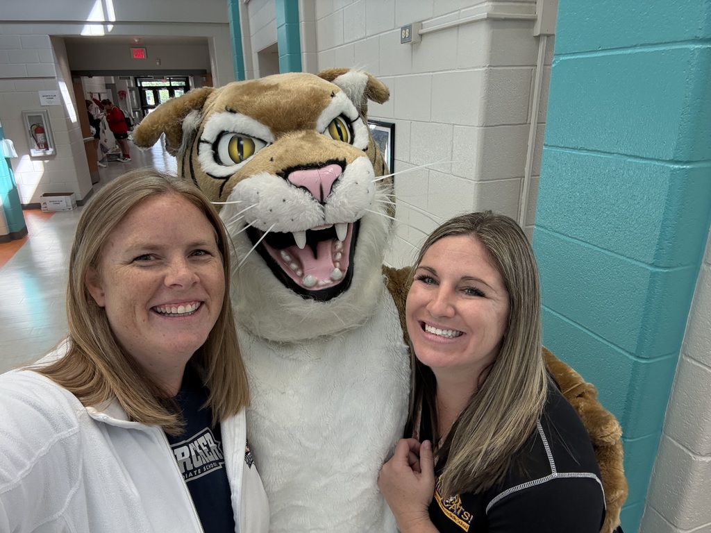 Teachers with wildcat