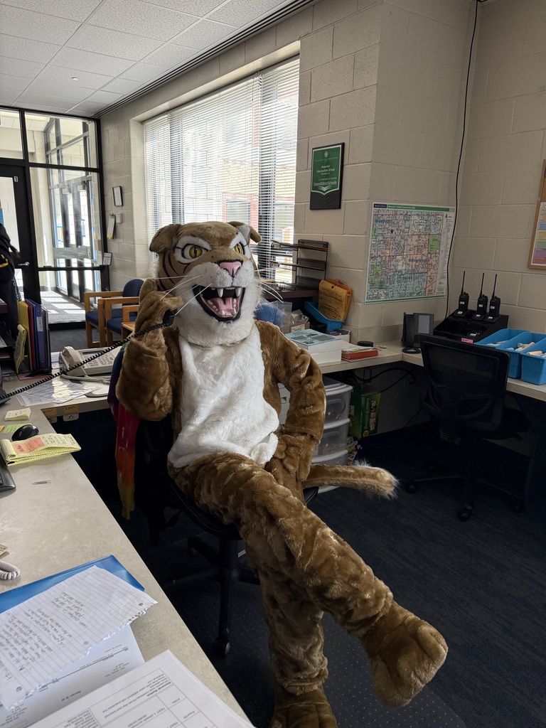 Wildcat answering the phone