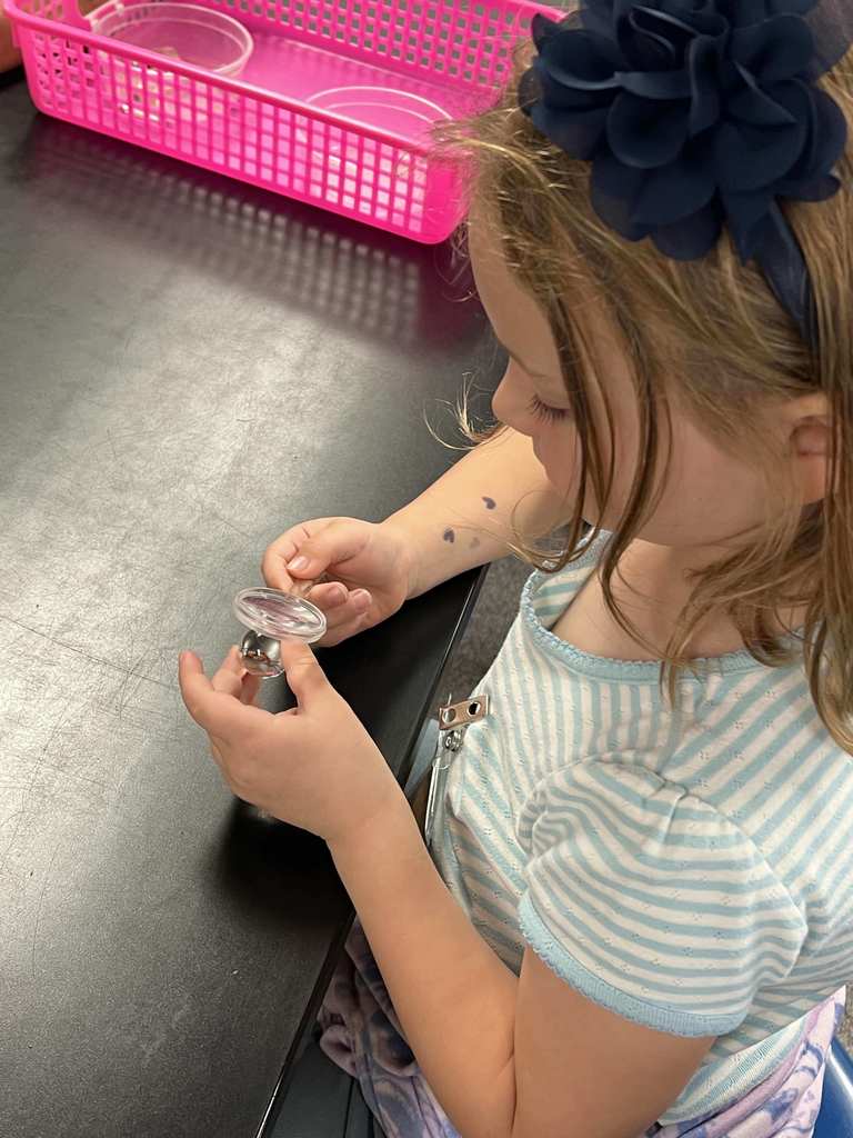 Students using science tools