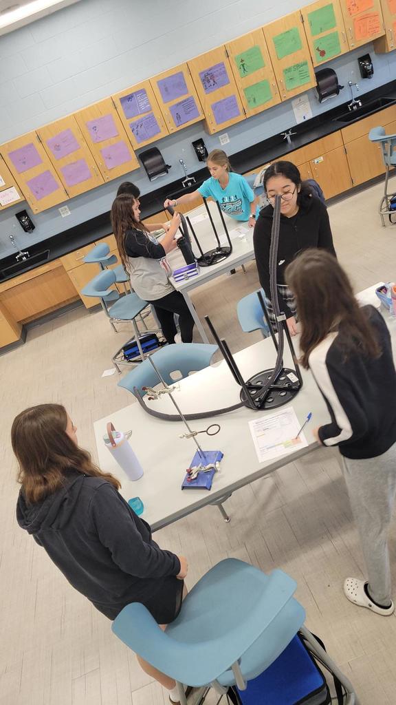 Middle School science experiments