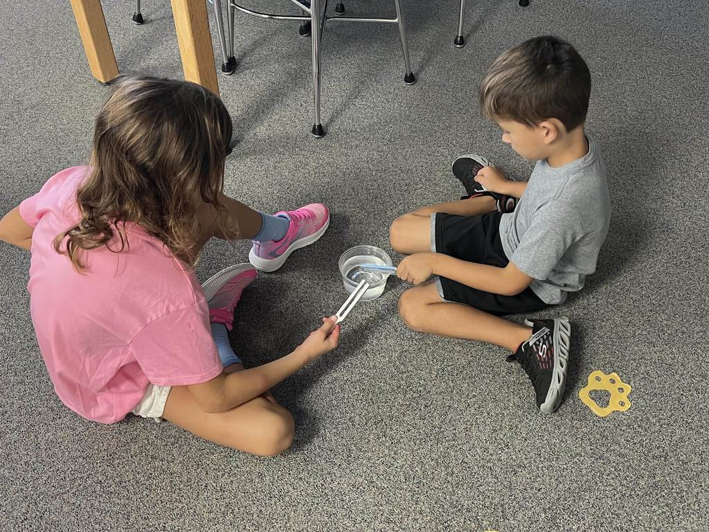 Tuning fork activity
