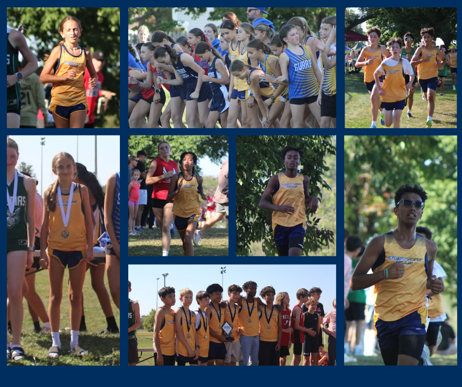 Cross country collage highlights