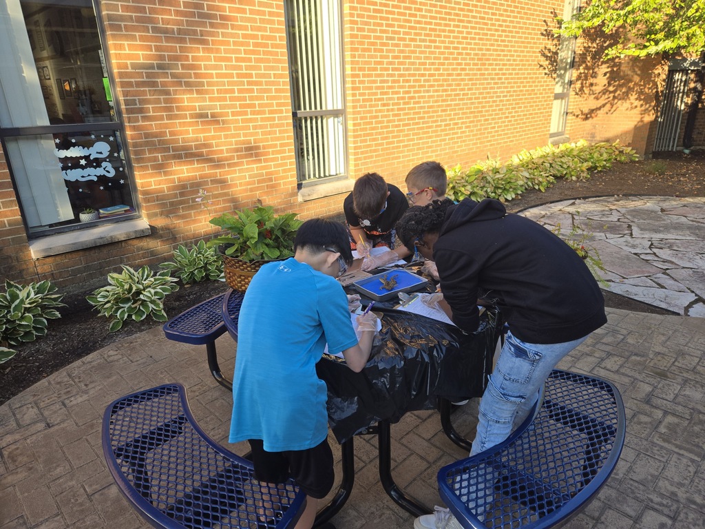 Students work at a table outside dissecting frogs