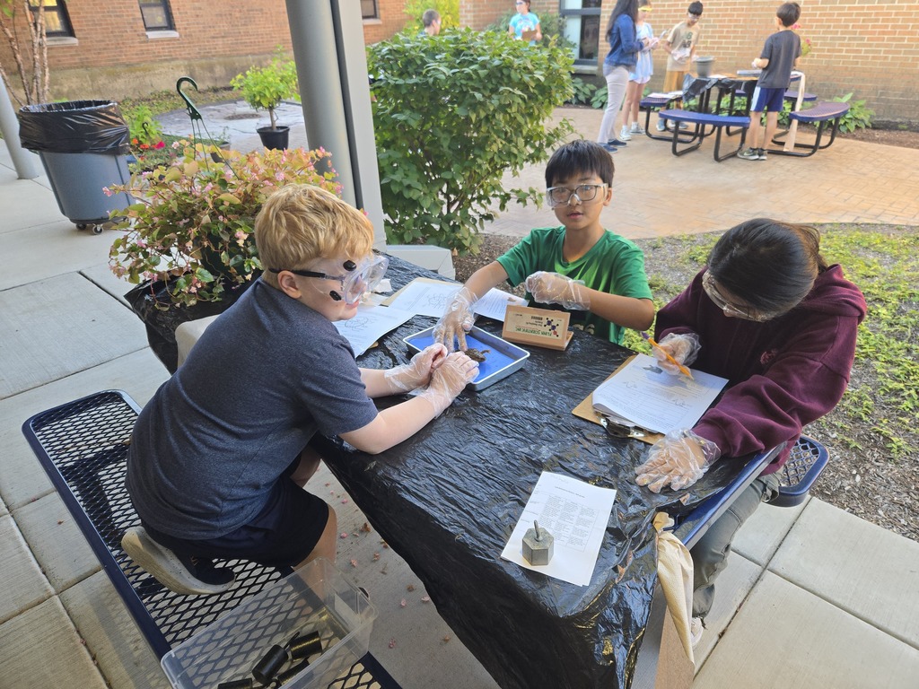 Students work at a table outside dissecting frogs