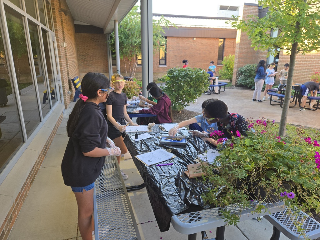 Students work at a table outside dissecting frogs