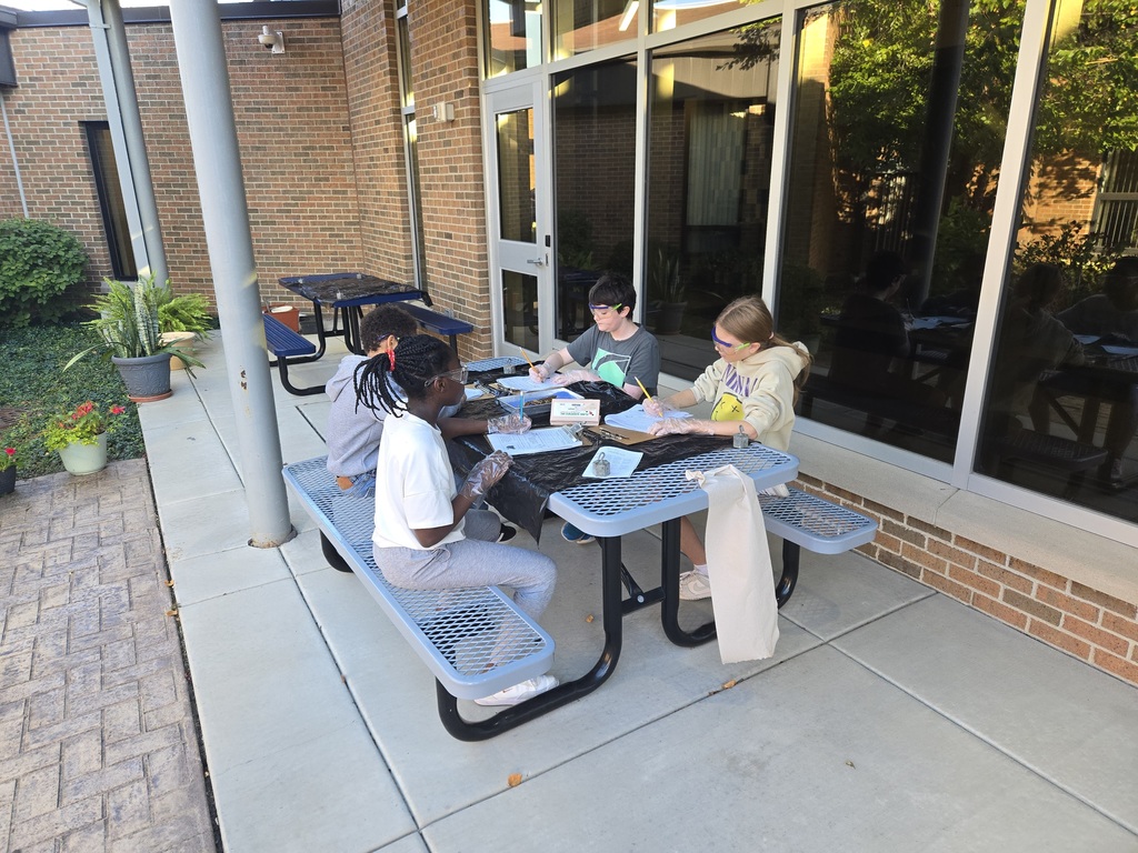 Students work at a table outside dissecting frogs
