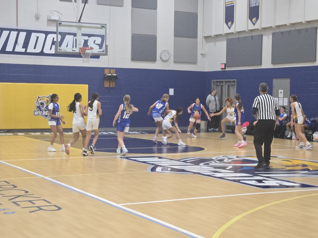 The girls basketball team on the court playing a game