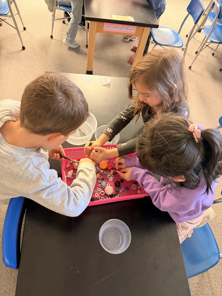 Students use various tools to pick up objects in an organizer